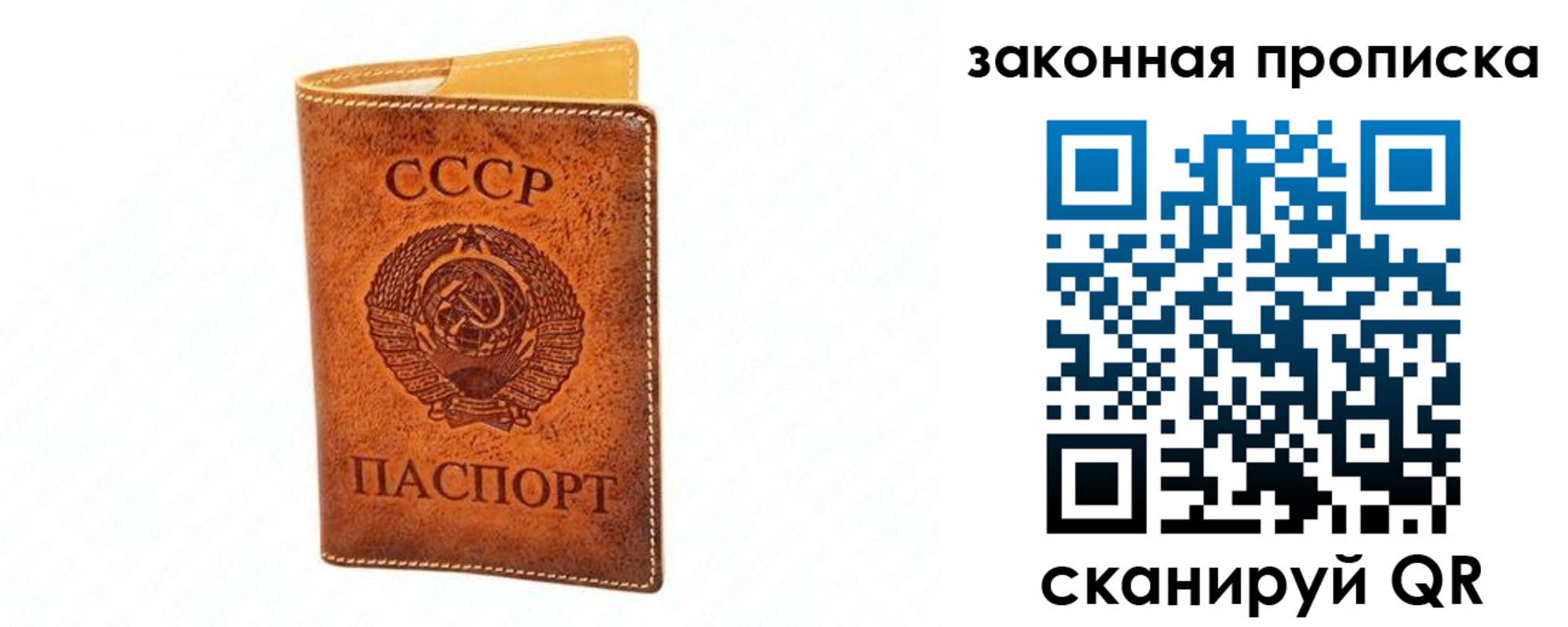 прописка в Струнино